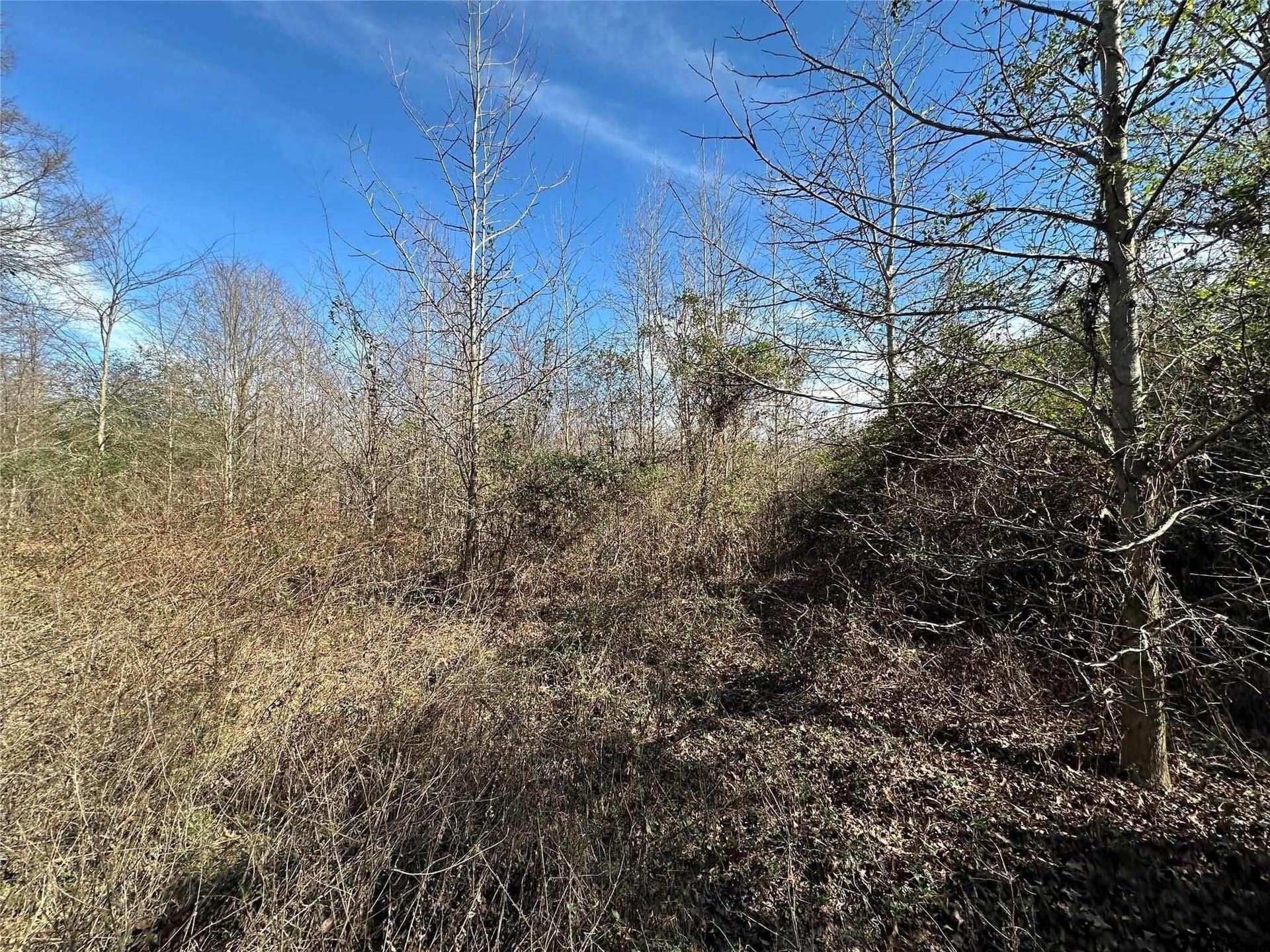 20 acres in Hopkins County - photo 10