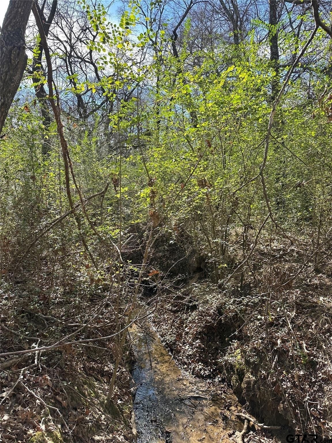 20 acres in Hopkins County - photo 13
