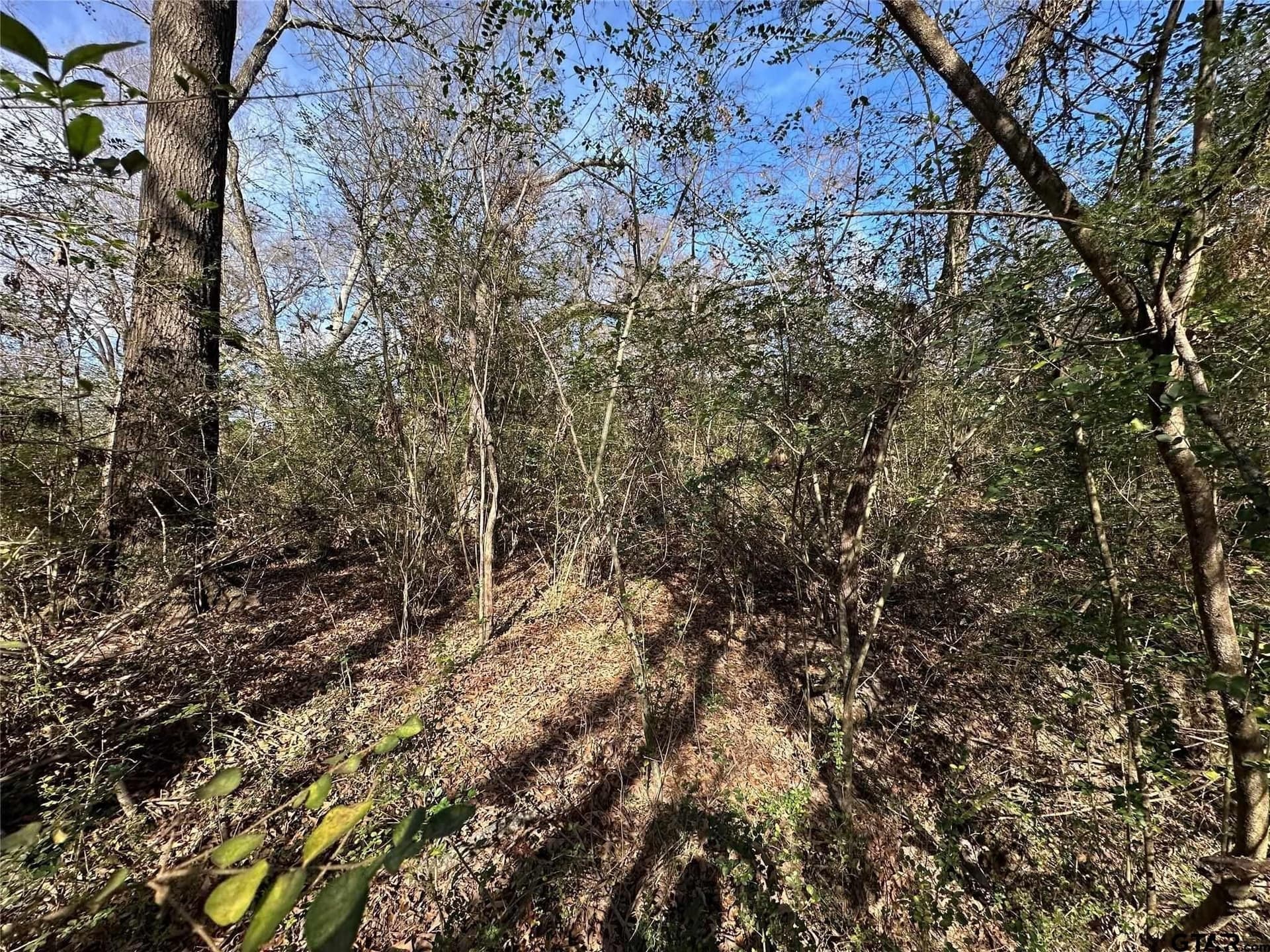 20 acres in Hopkins County - photo 12