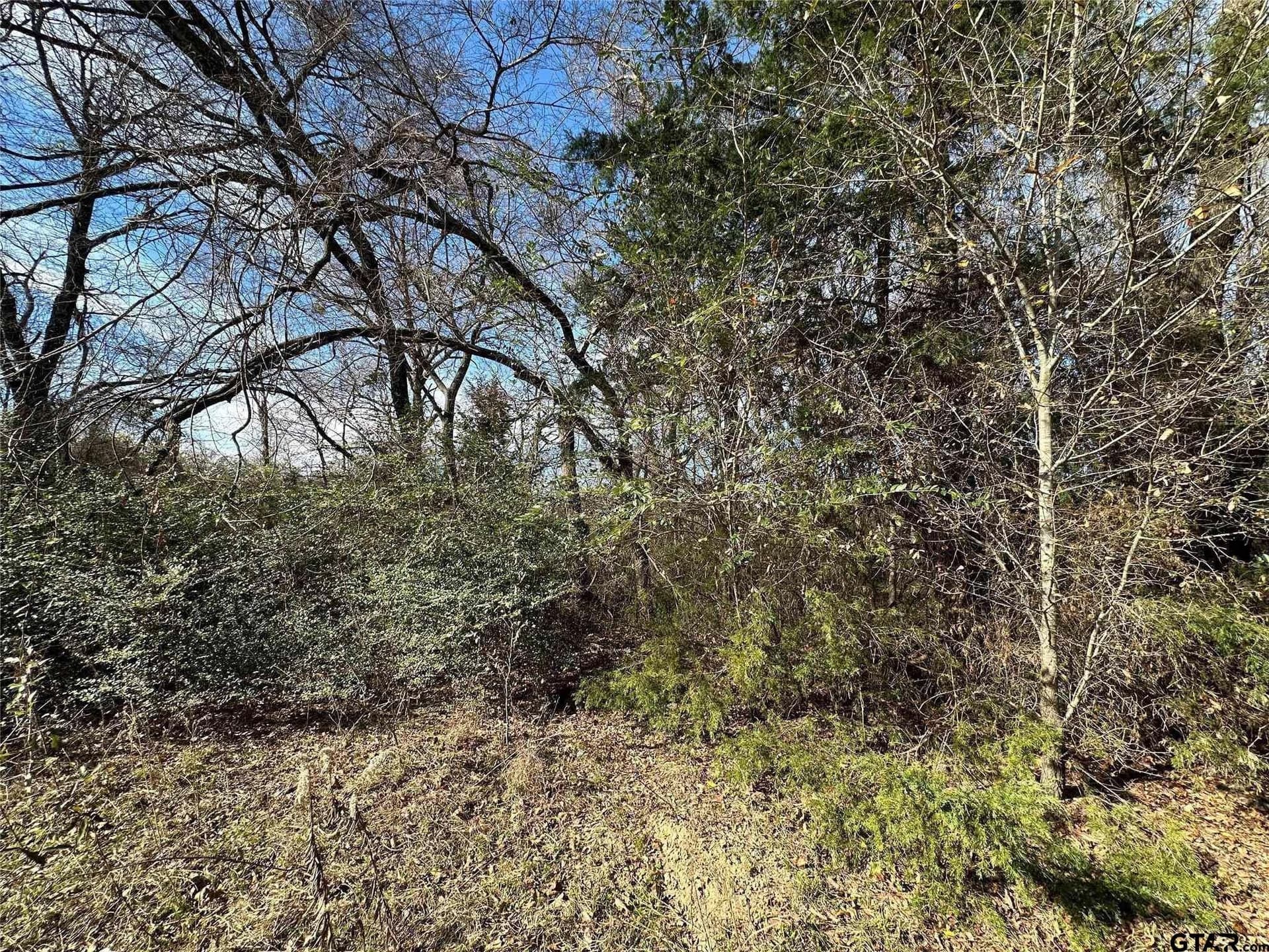 20 acres in Hopkins County - photo 9