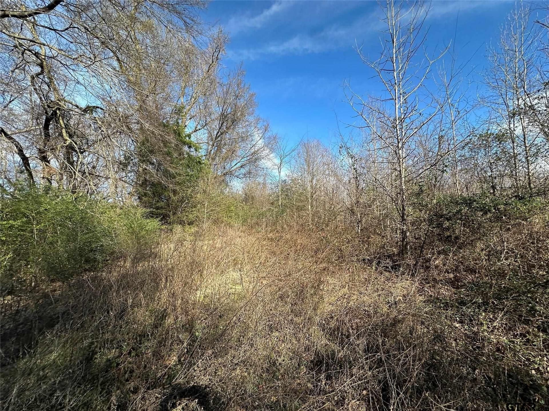 20 acres in Hopkins County - photo 7