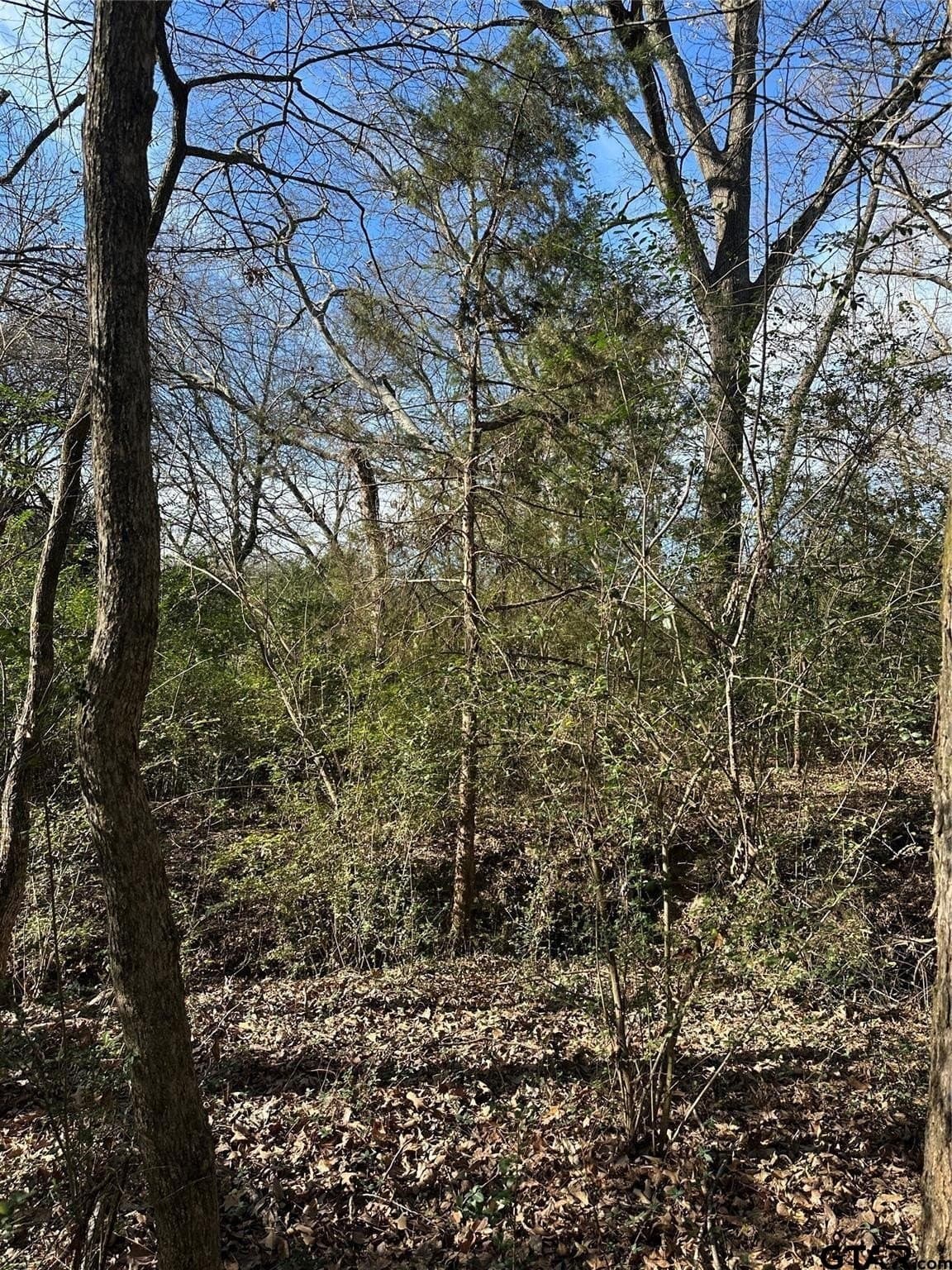20 acres in Hopkins County - photo 15