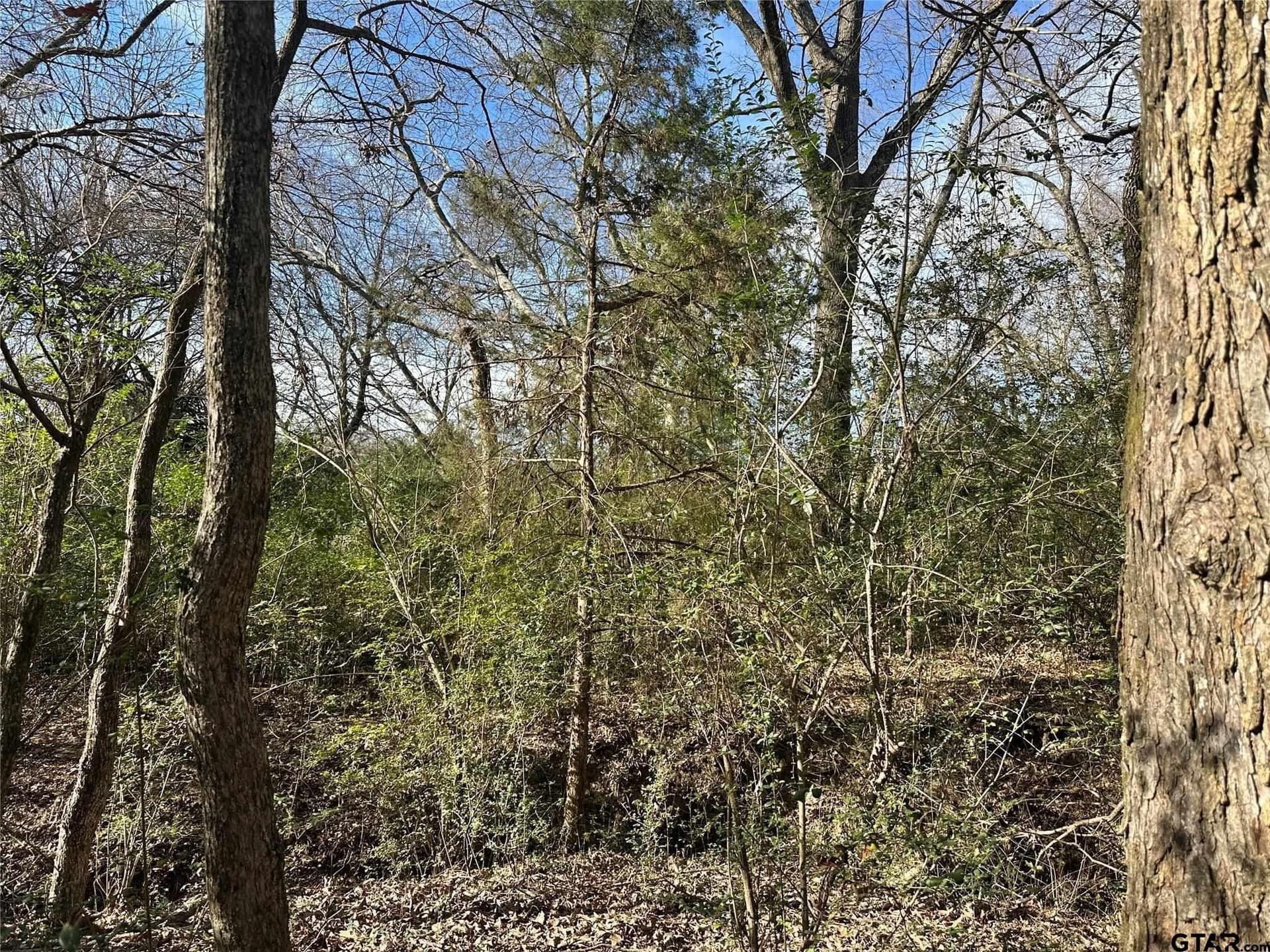20 acres in Hopkins County - photo 14