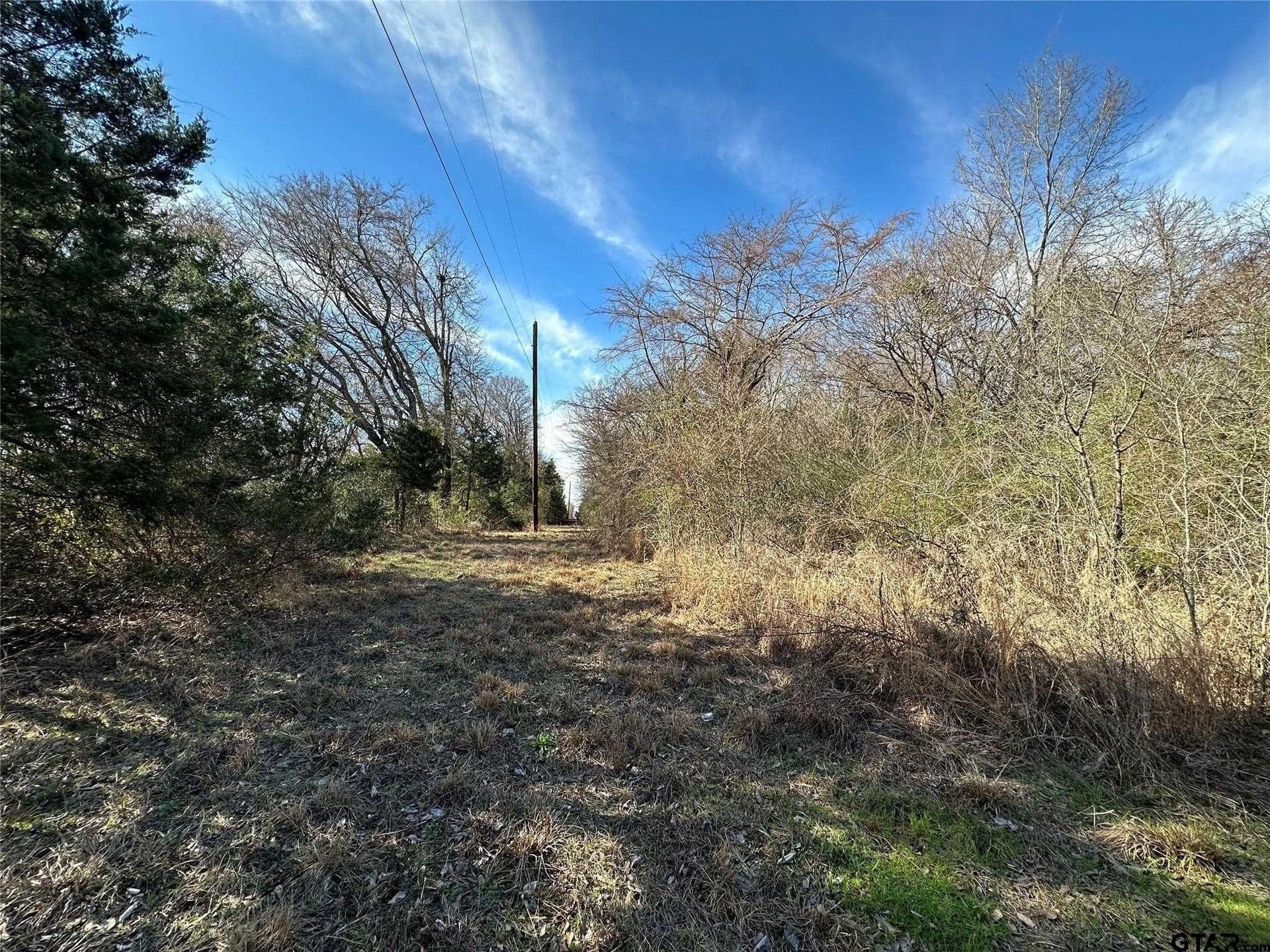 20 acres in Hopkins County - photo 17