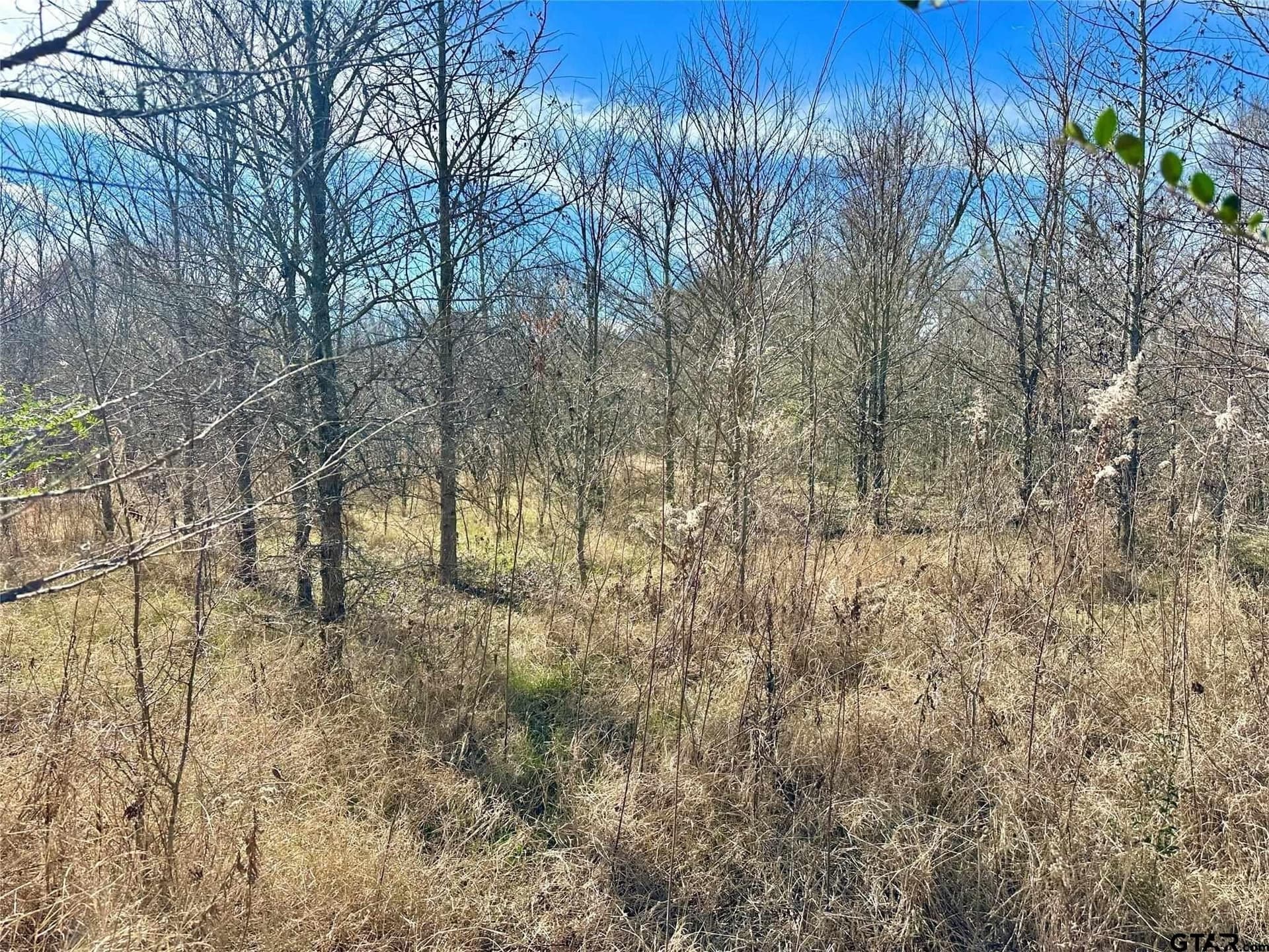 20 acres in Hopkins County - photo 3