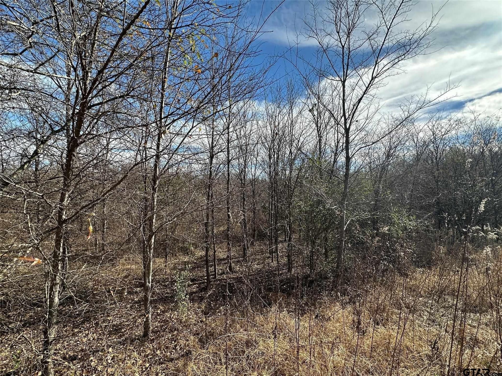 20 acres in Hopkins County - photo 5