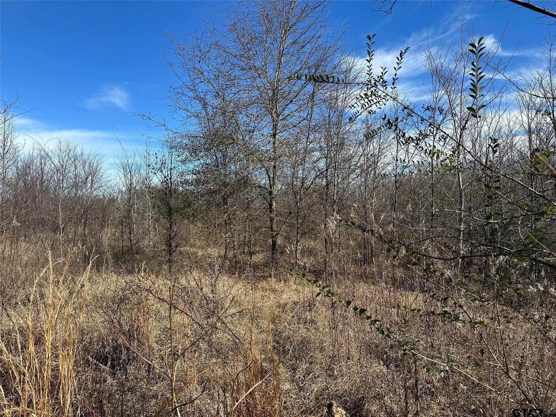 20 acres in Hopkins County - photo 4