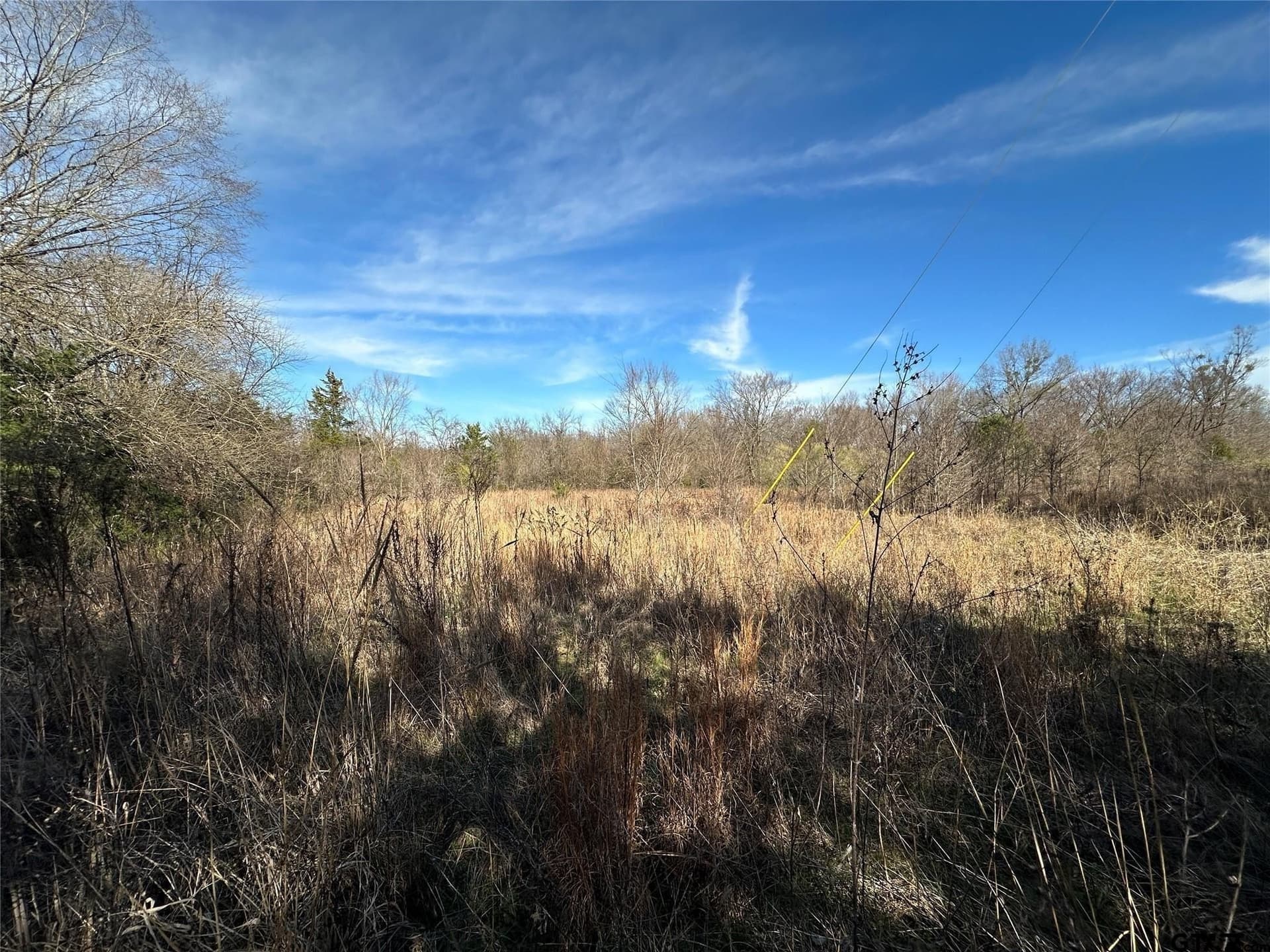 20 acres in Hopkins County - photo 21