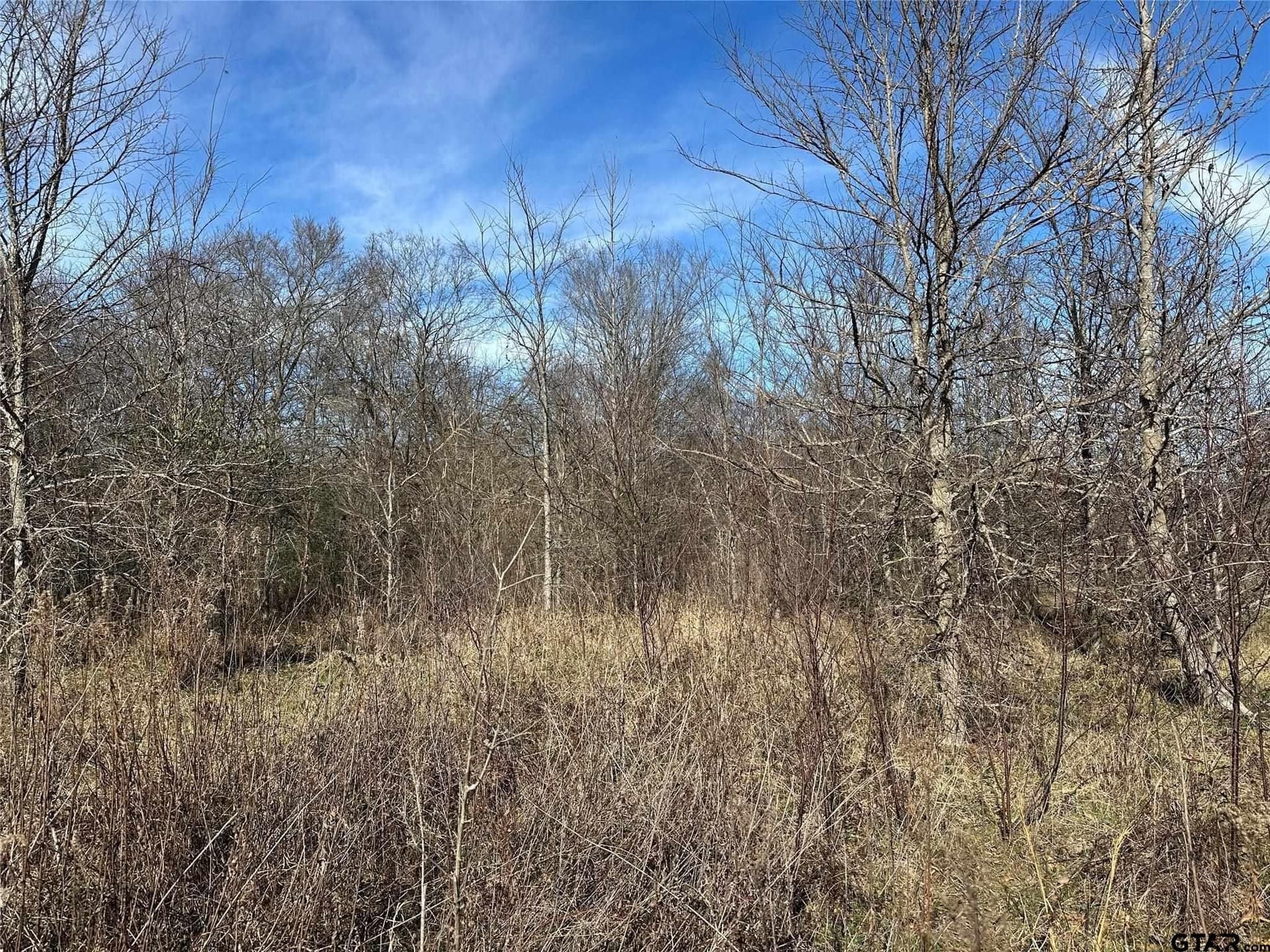 20 acres in Hopkins County - photo 2