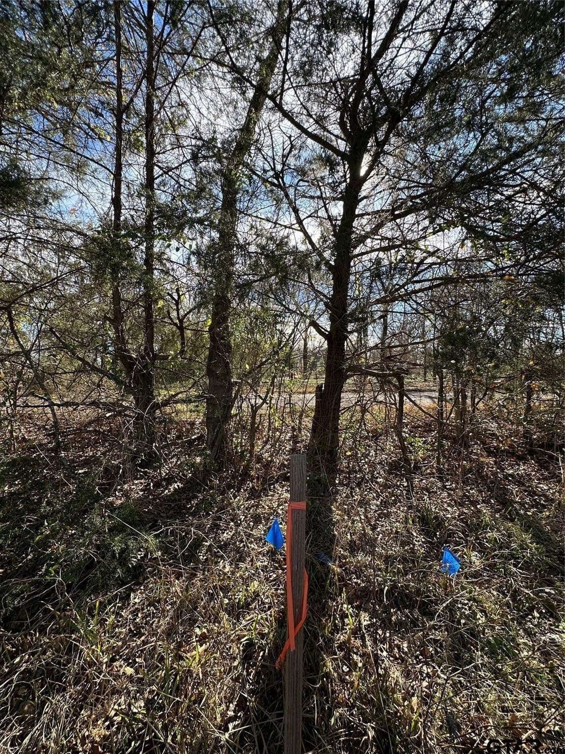 20 acres in Hopkins County - photo 18