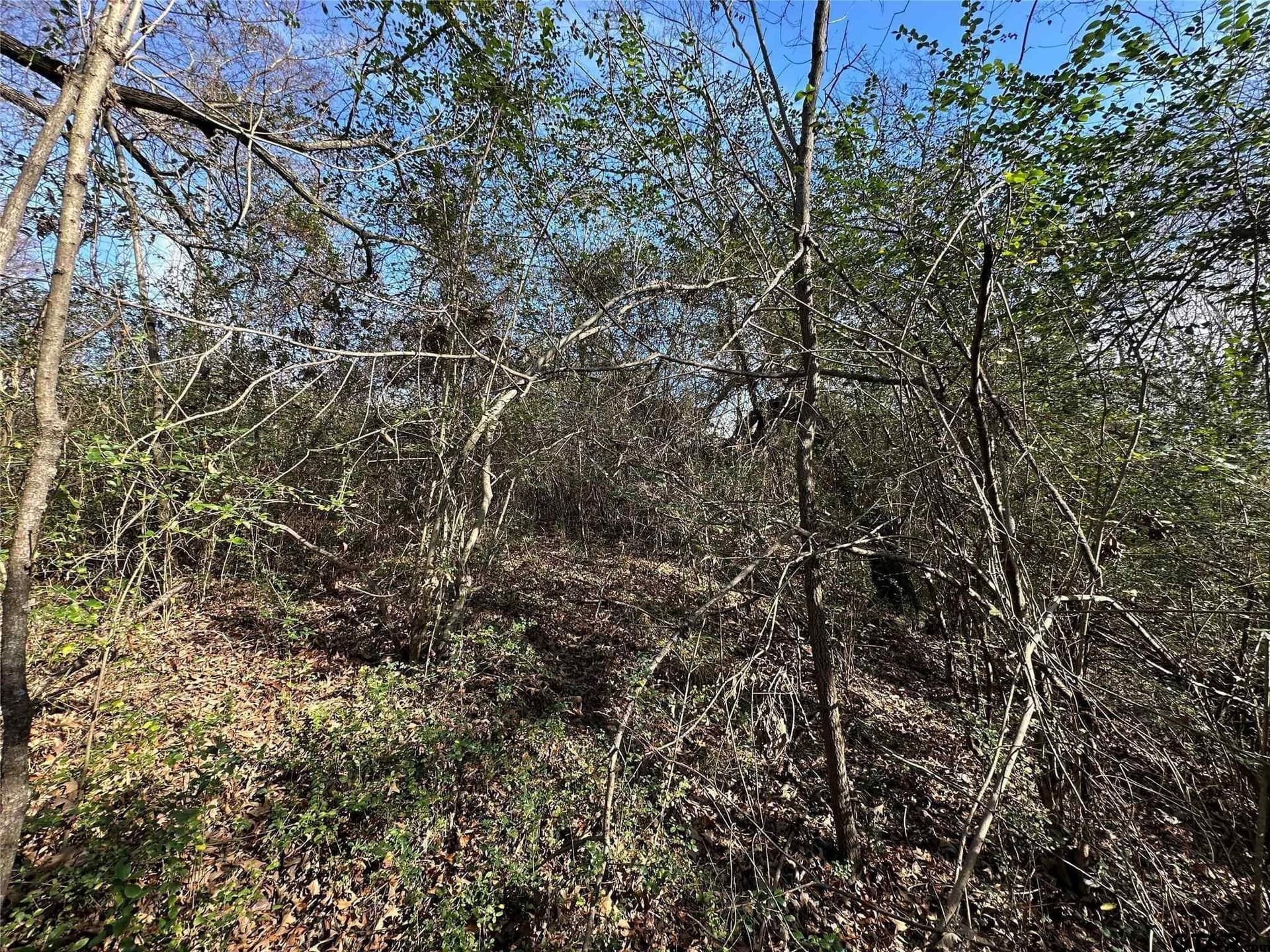 20 acres in Hopkins County - photo 11