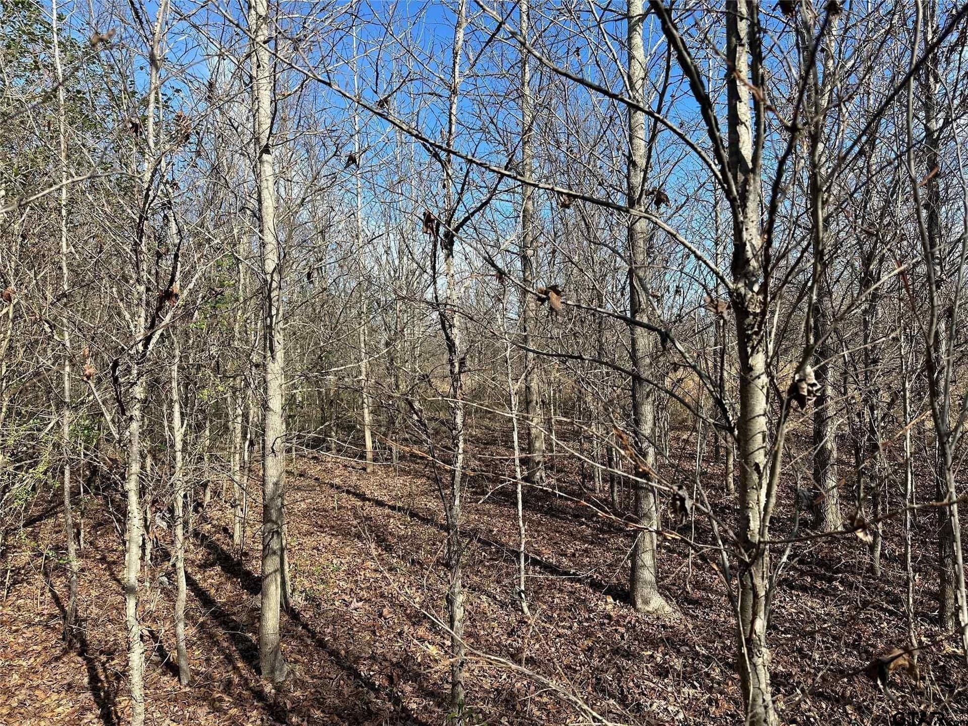 20 acres in Hopkins County - photo 8