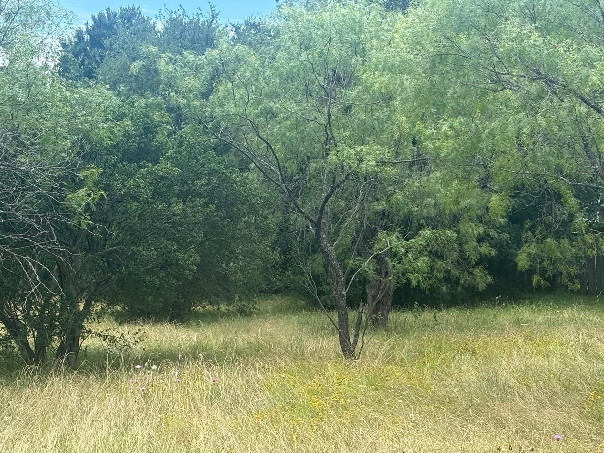0.14 acres in Llano County gallery image 2