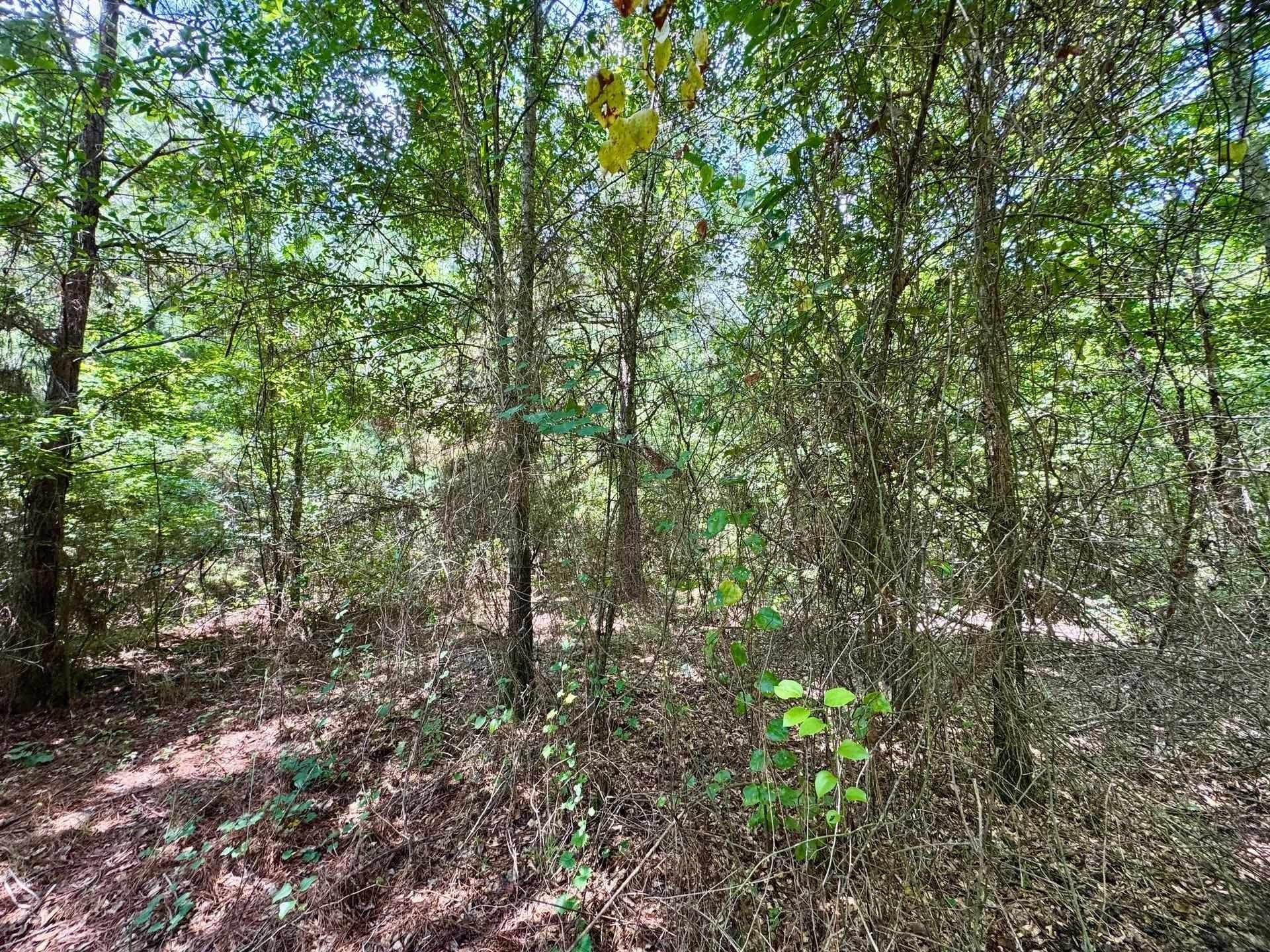 2 acres in Cass County - photo 14