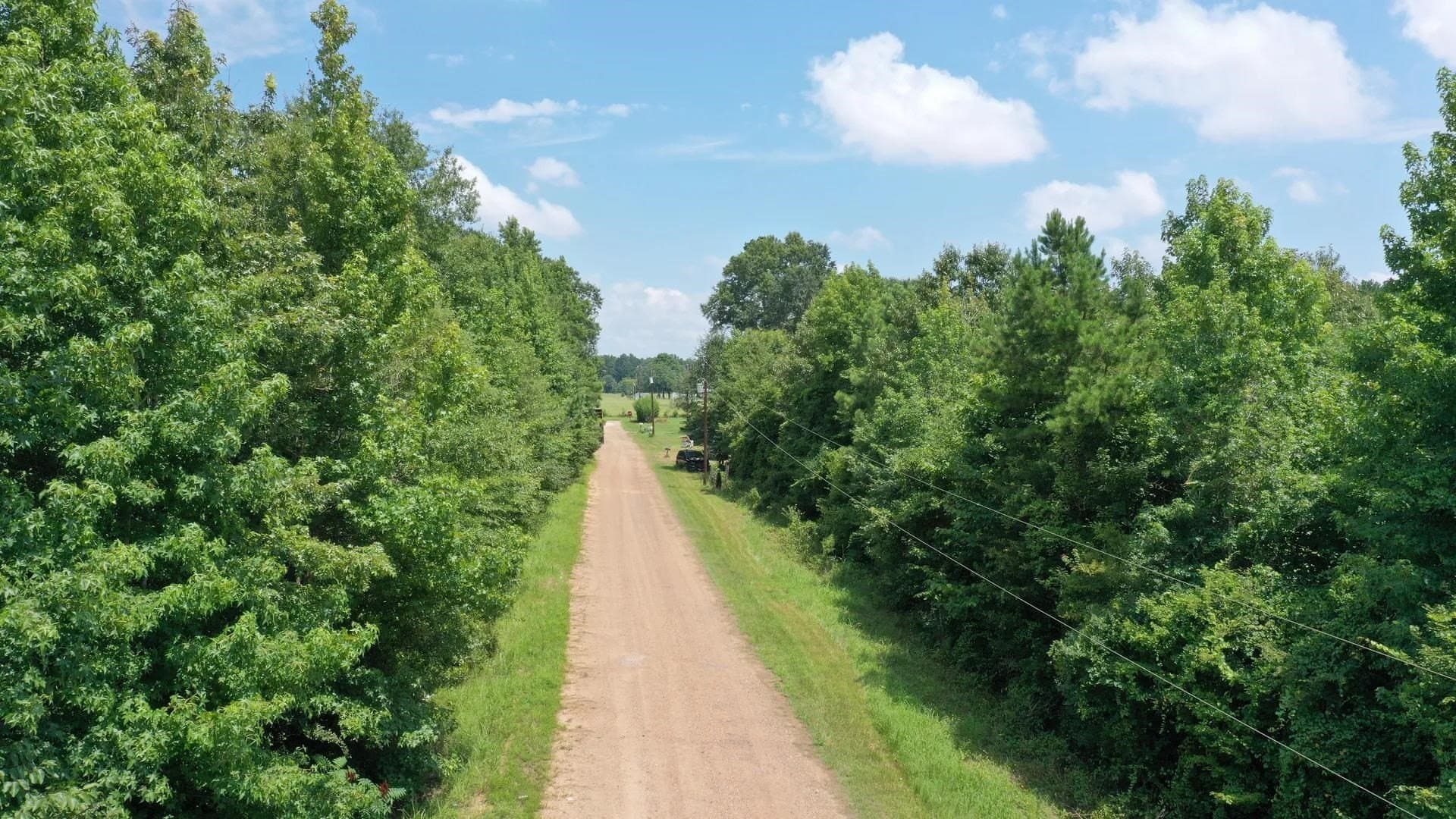 2 acres in Cass County gallery image 2