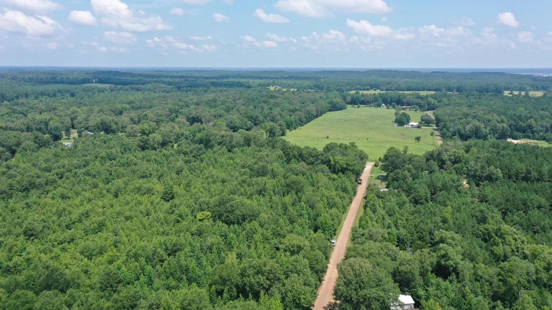 2 acres in Cass County - photo 7