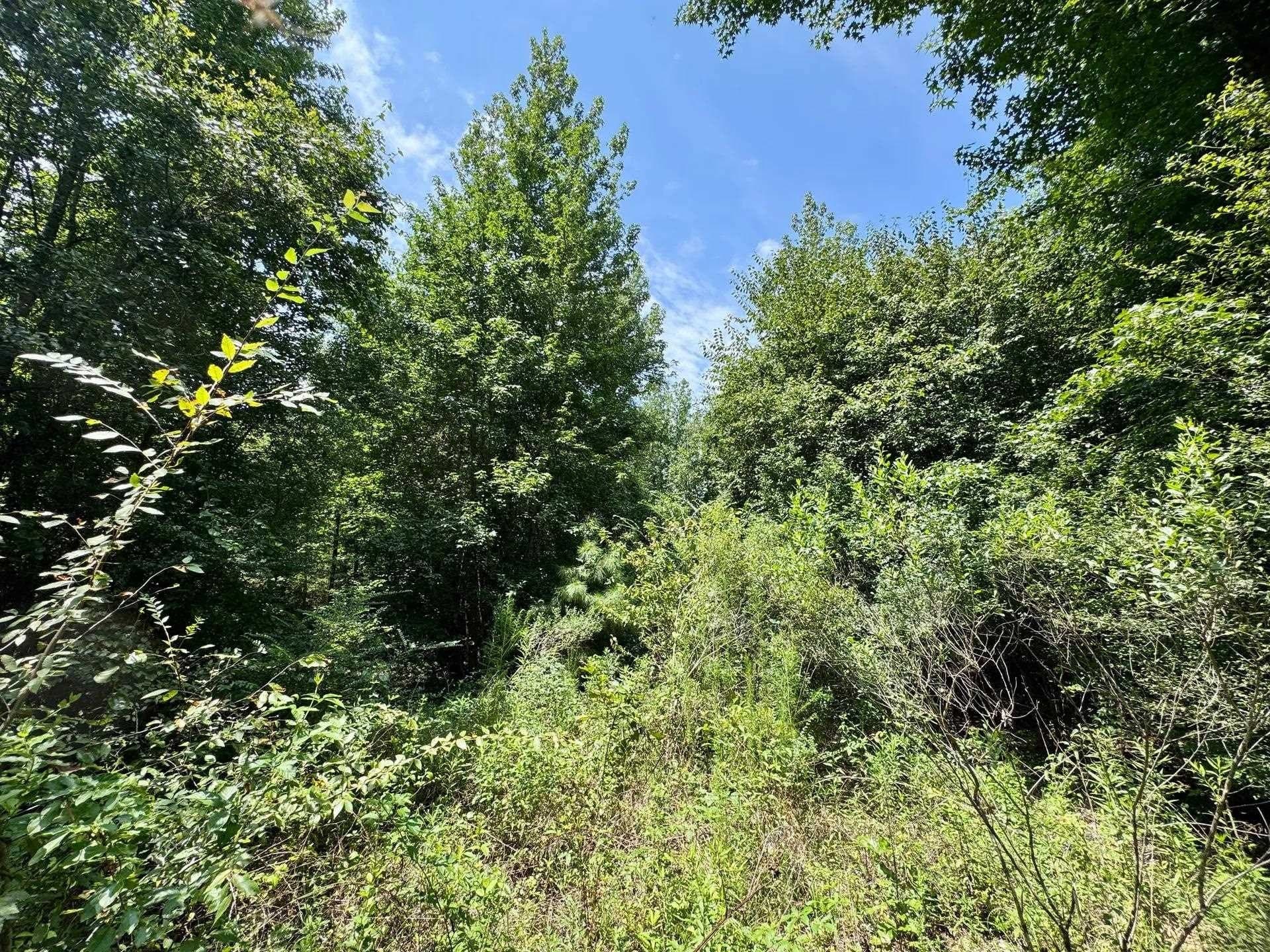 2 acres in Cass County - photo 19