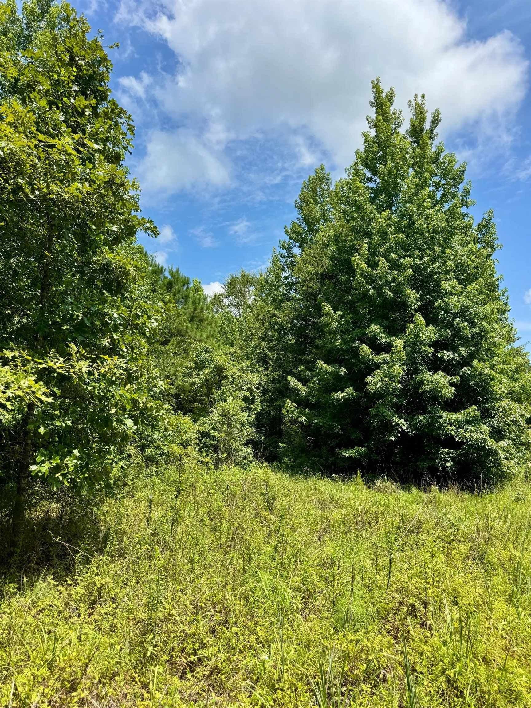 2 acres in Cass County - photo 20