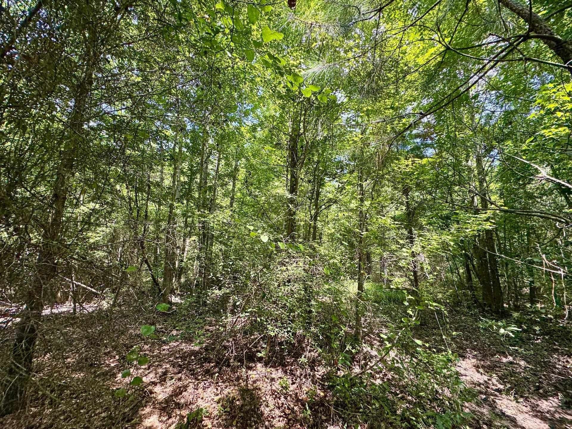 2 acres in Cass County - photo 13