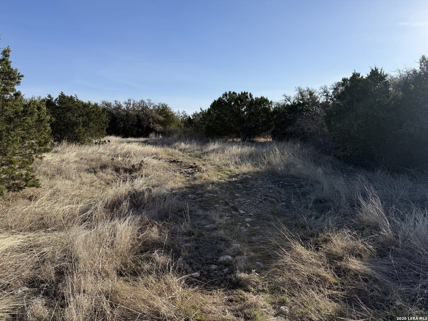 14 acres in Kimble County featured view