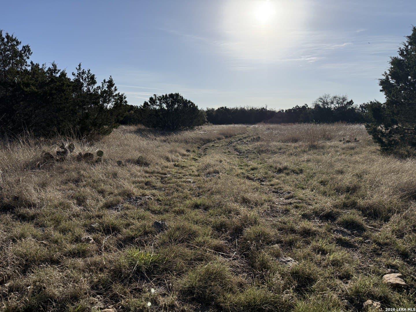 14 acres in Kimble County