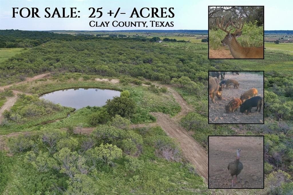 25.42 acres in Clay County