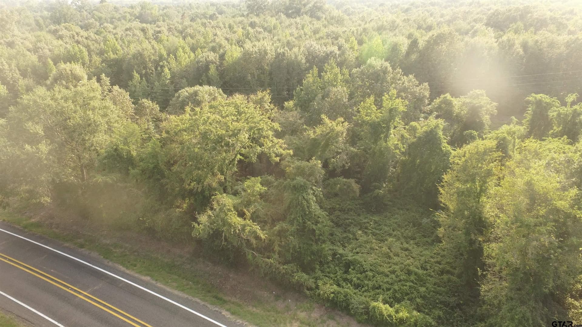 2.74 acres in Camp County gallery image 3