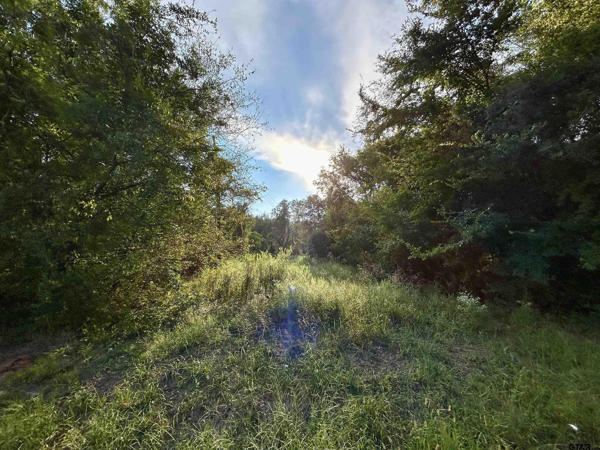 2.74 acres in Camp County gallery image 2