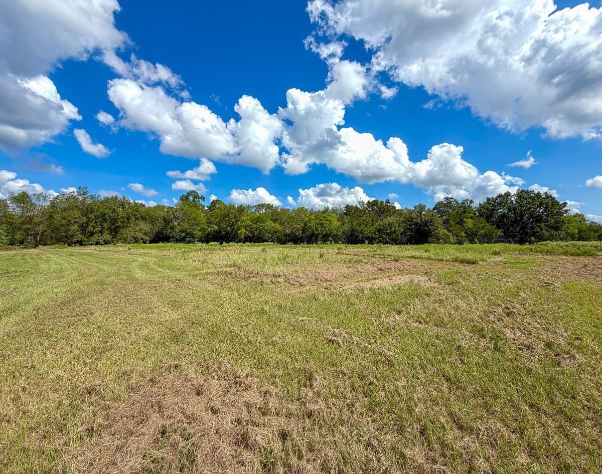 27.33 acres in Houston County - photo 22
