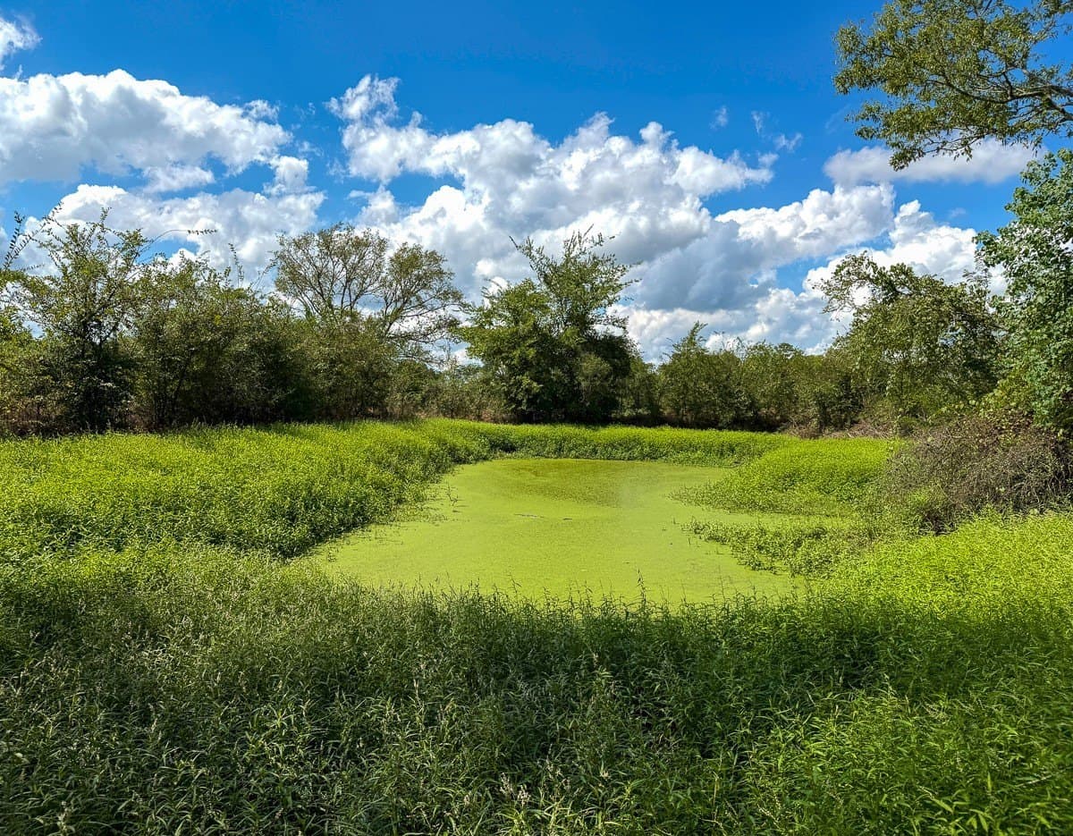27.33 acres in Houston County - photo 15
