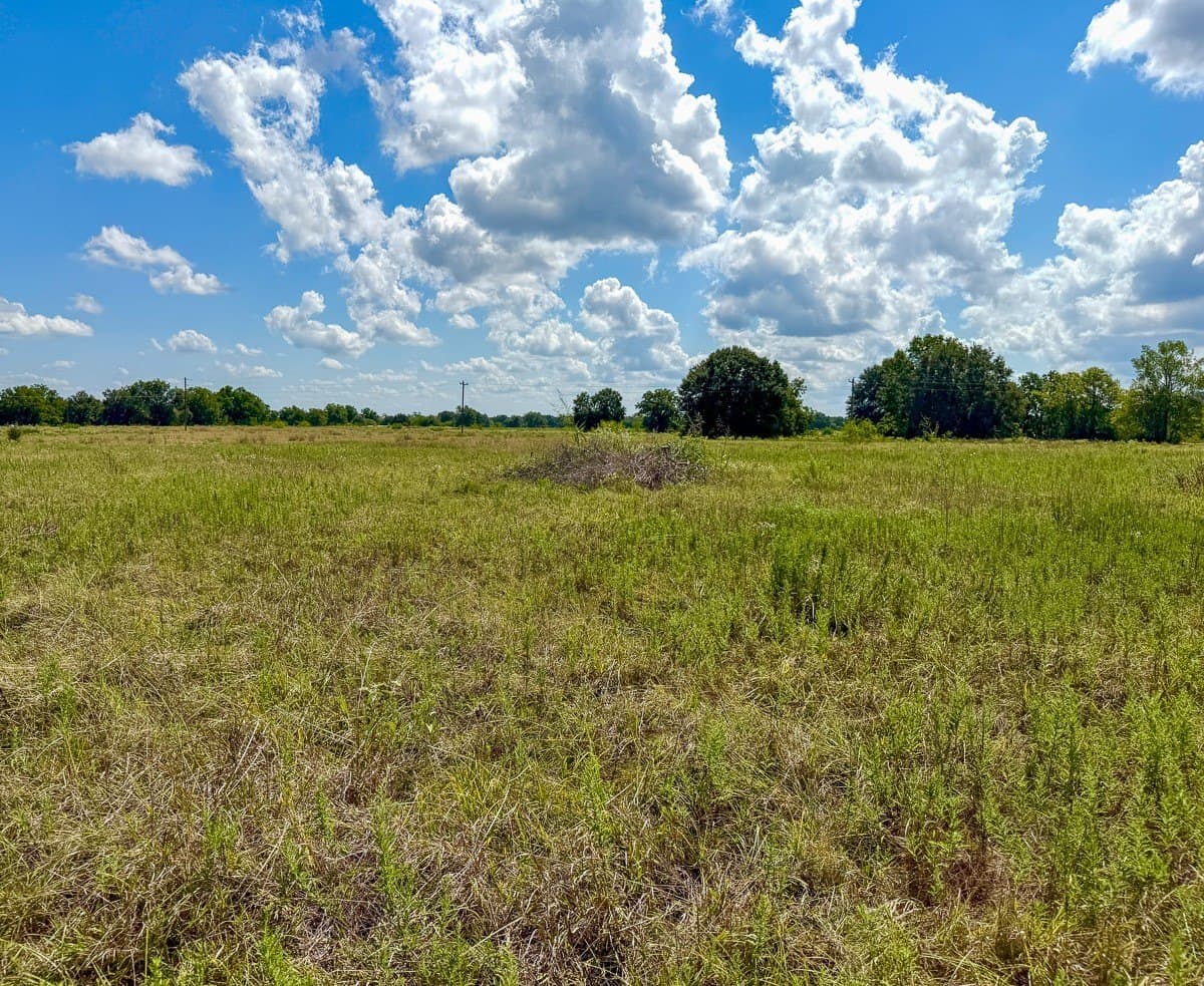 27.33 acres in Houston County - photo 9