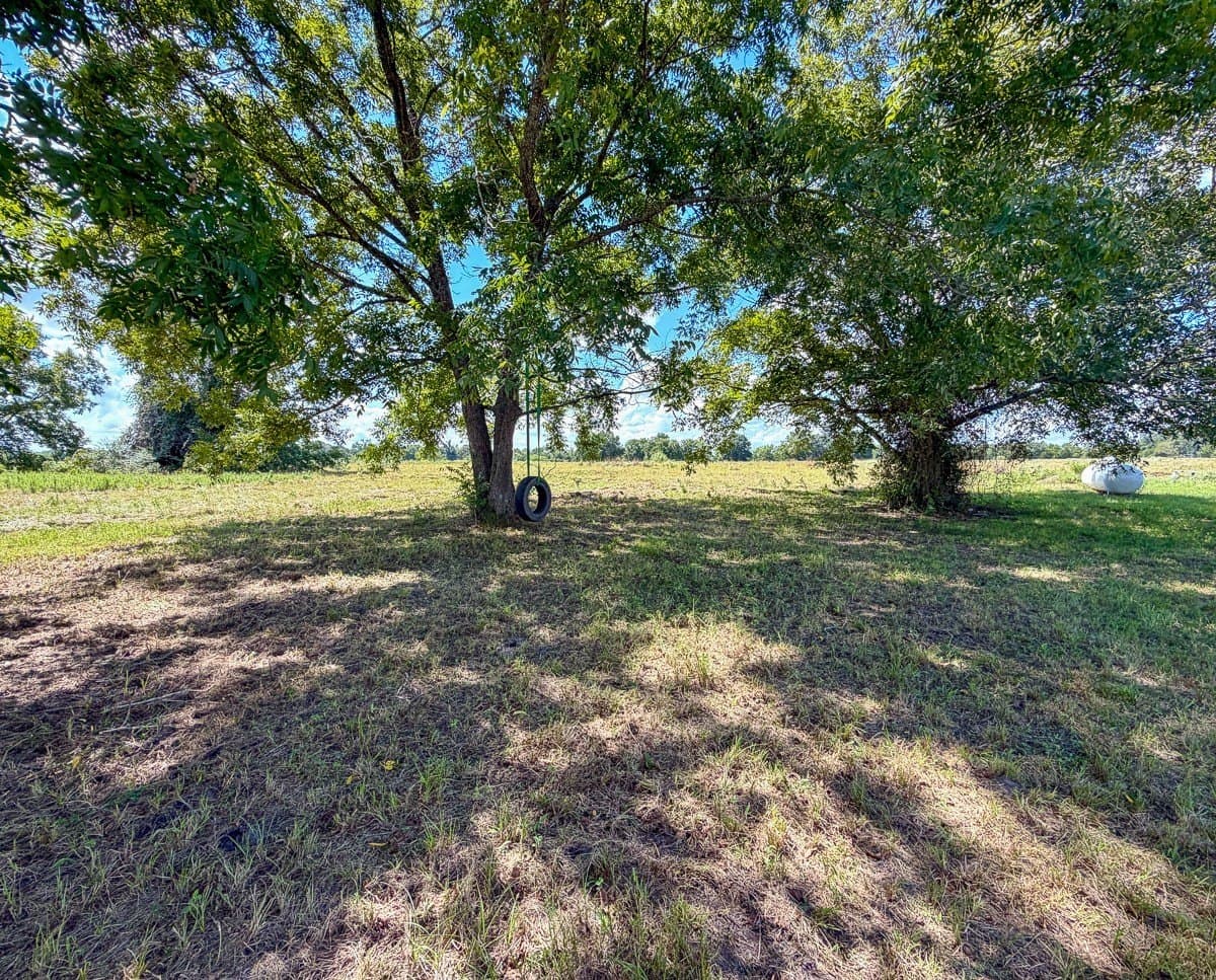 27.33 acres in Houston County - photo 6