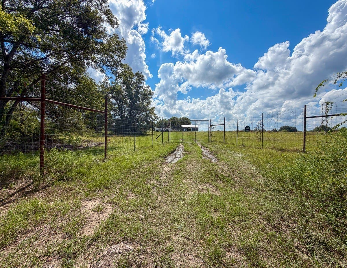 27.33 acres in Houston County - photo 14
