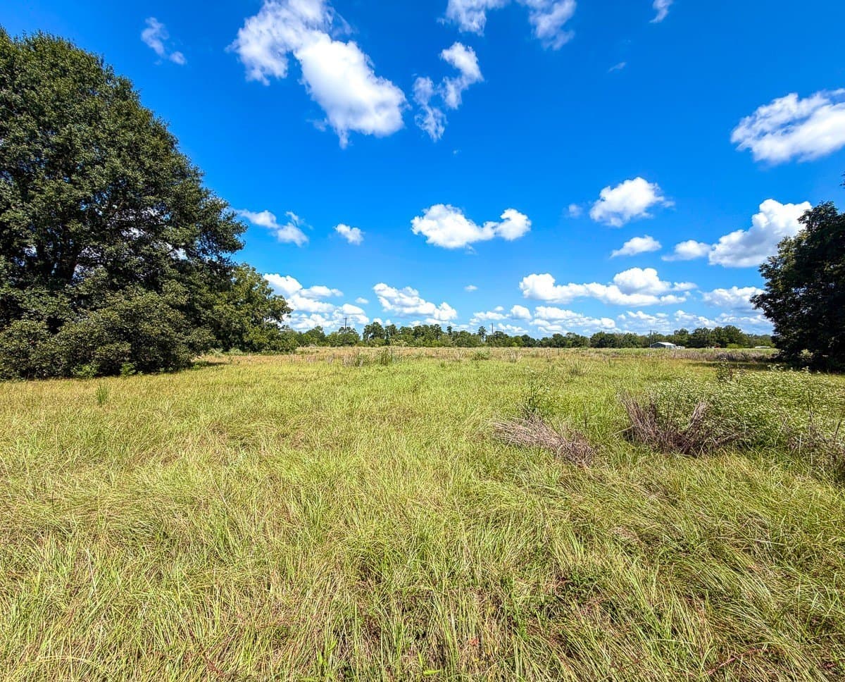 27.33 acres in Houston County - photo 21