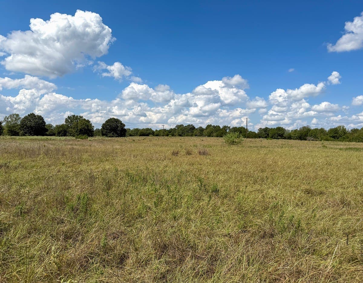 27.33 acres in Houston County - photo 16
