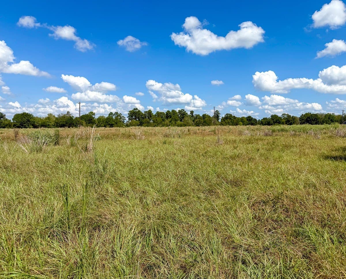 27.33 acres in Houston County - photo 23
