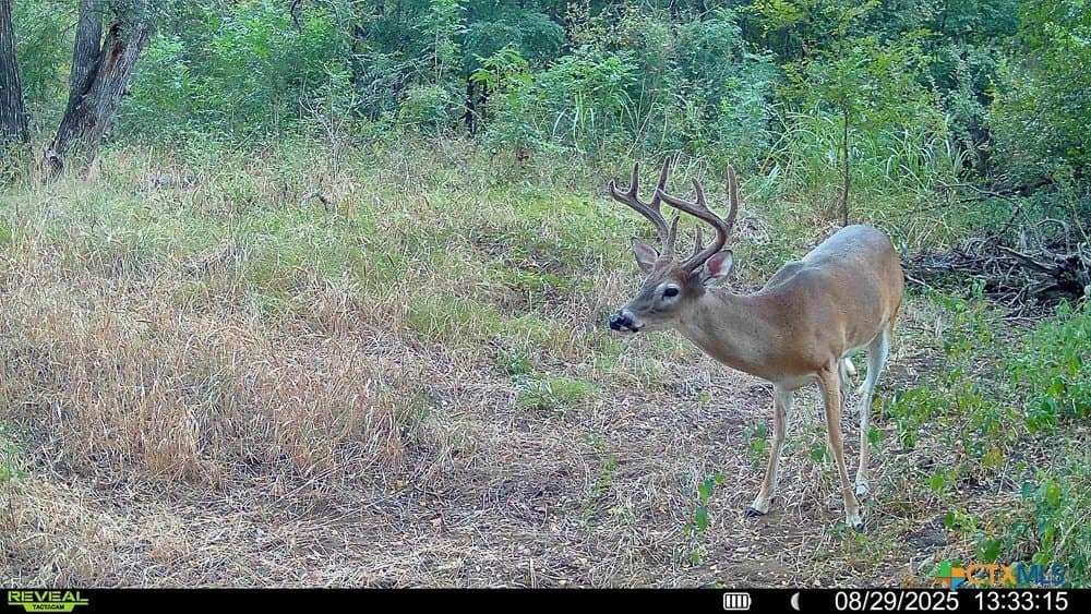 26.49 acres in Bell County - photo 33