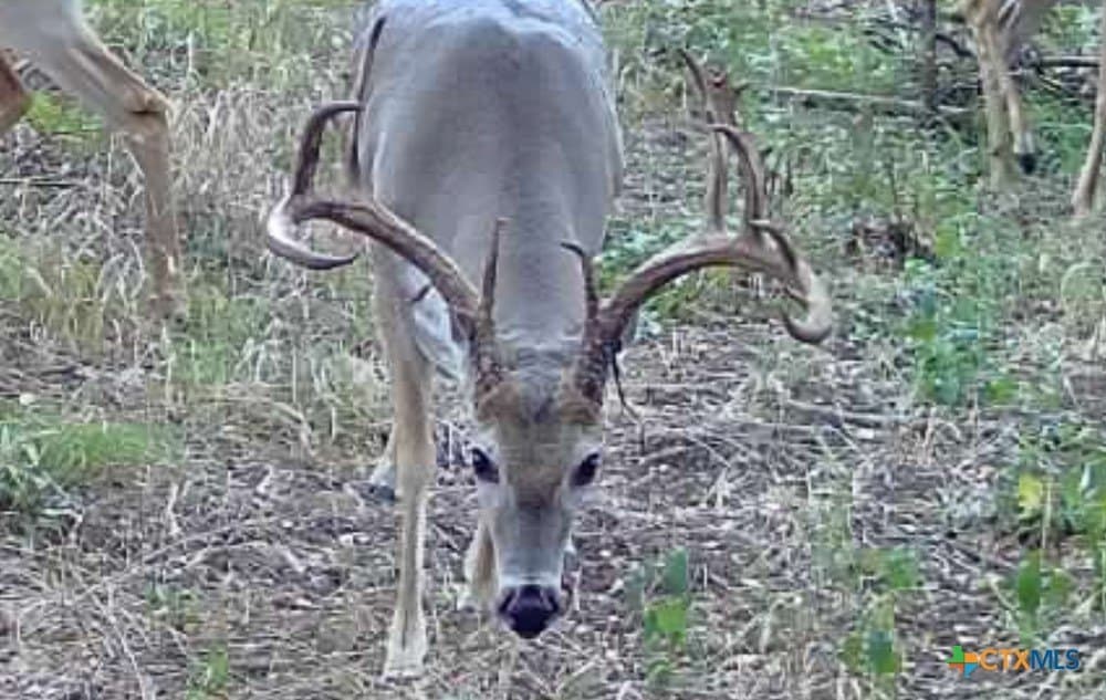 26.49 acres in Bell County - photo 28