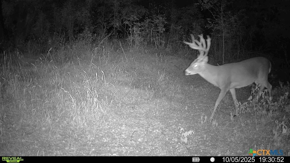 26.49 acres in Bell County - photo 31