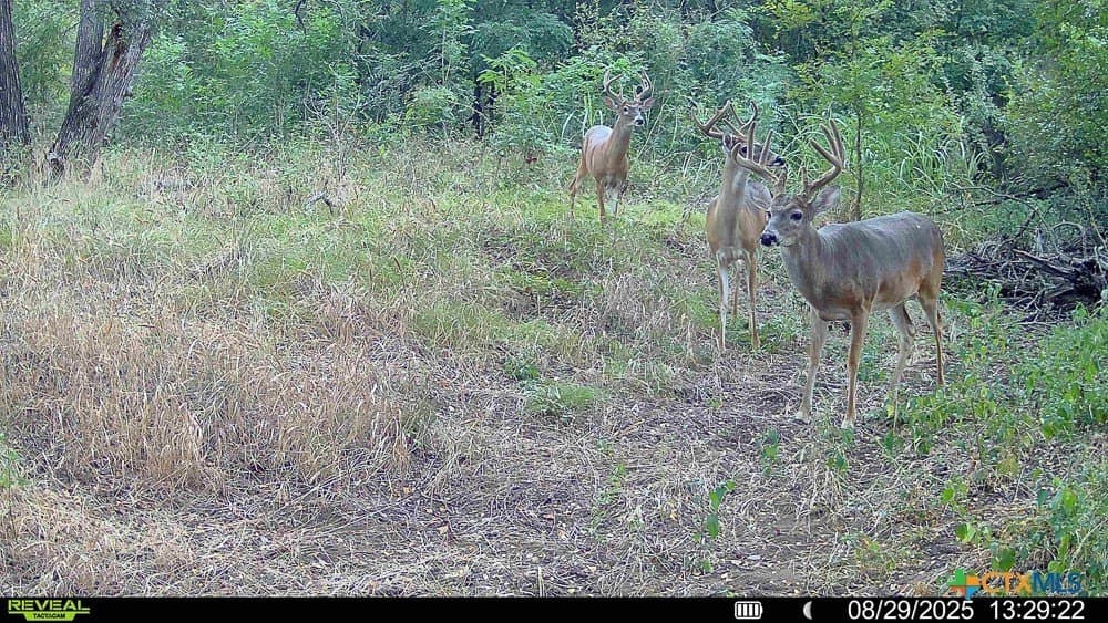 26.49 acres in Bell County - photo 32