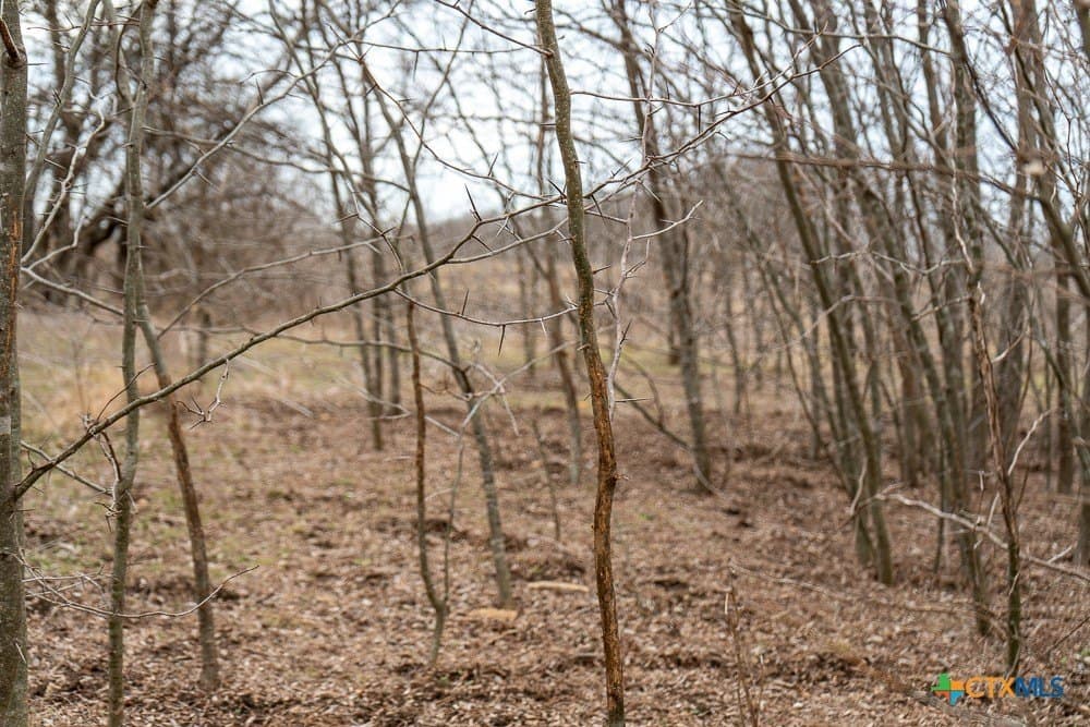 26.49 acres in Bell County - photo 17