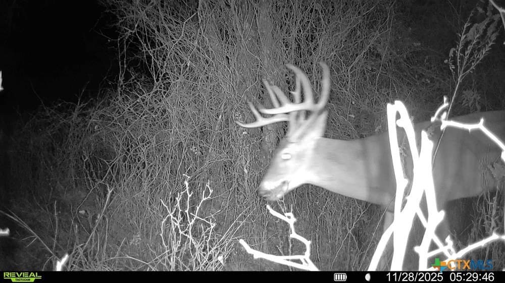 26.49 acres in Bell County - photo 29