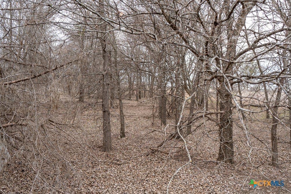 26.49 acres in Bell County - photo 14