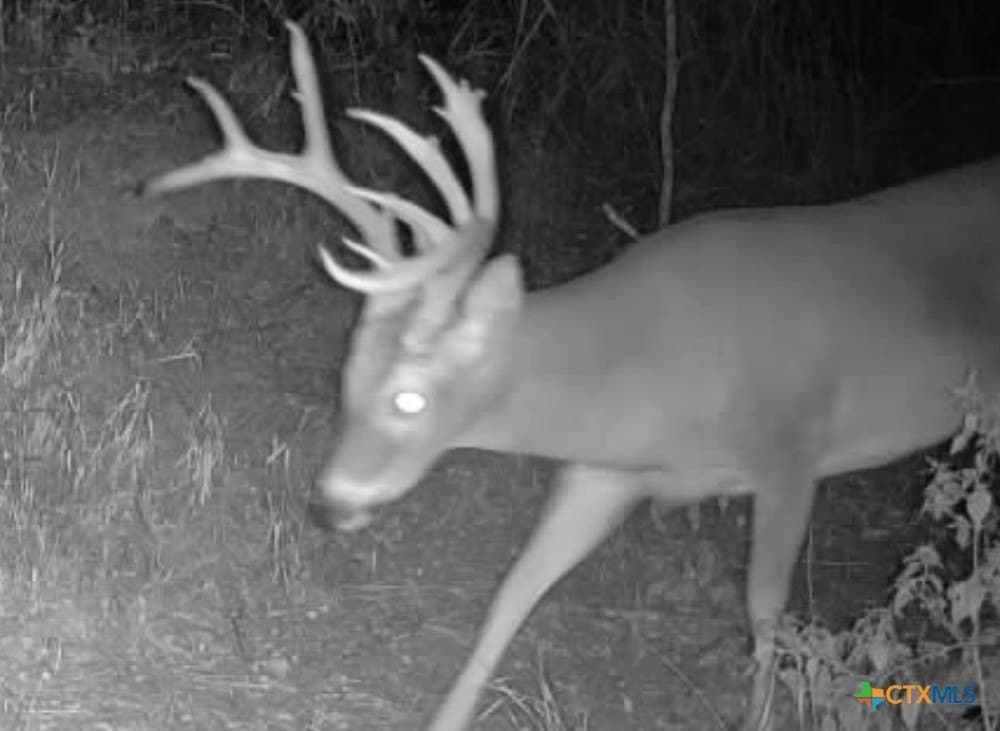 26.49 acres in Bell County - photo 26