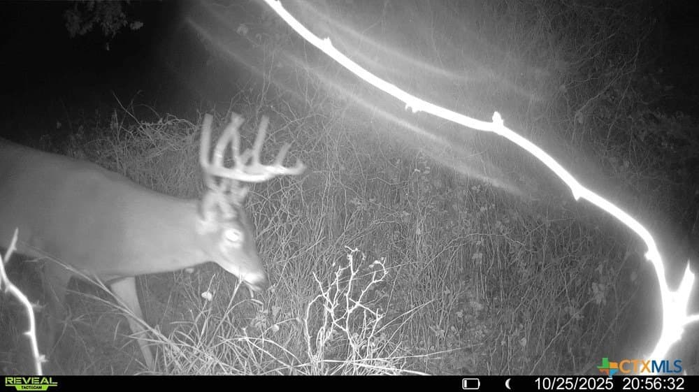 26.49 acres in Bell County - photo 30