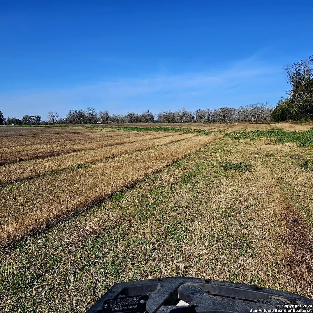 11 acres in Wharton County - photo 14