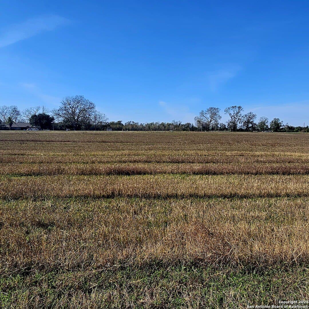 11 acres in Wharton County - photo 9