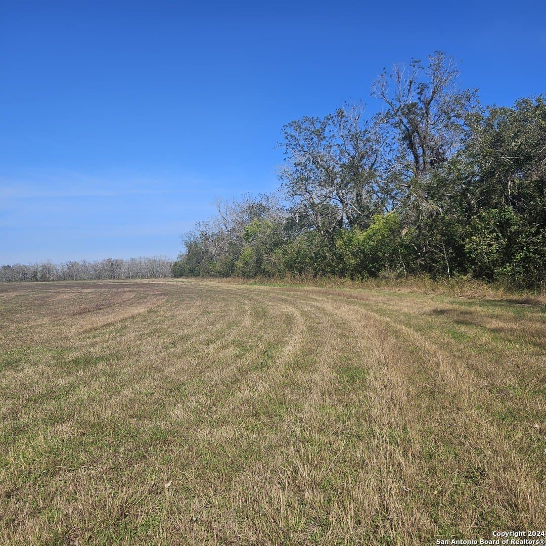 11 acres in Wharton County - photo 6