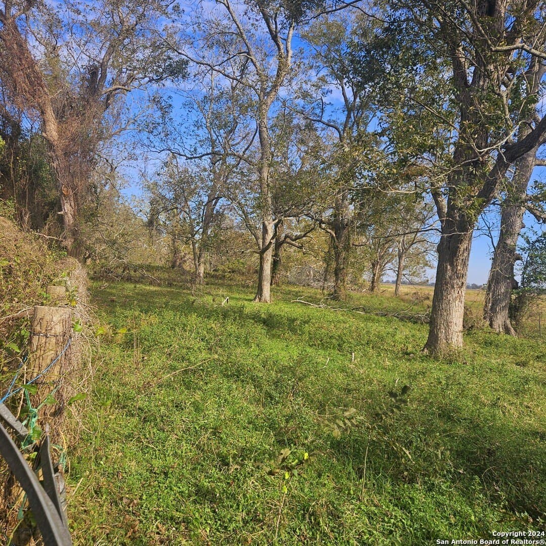 11 acres in Wharton County - photo 7
