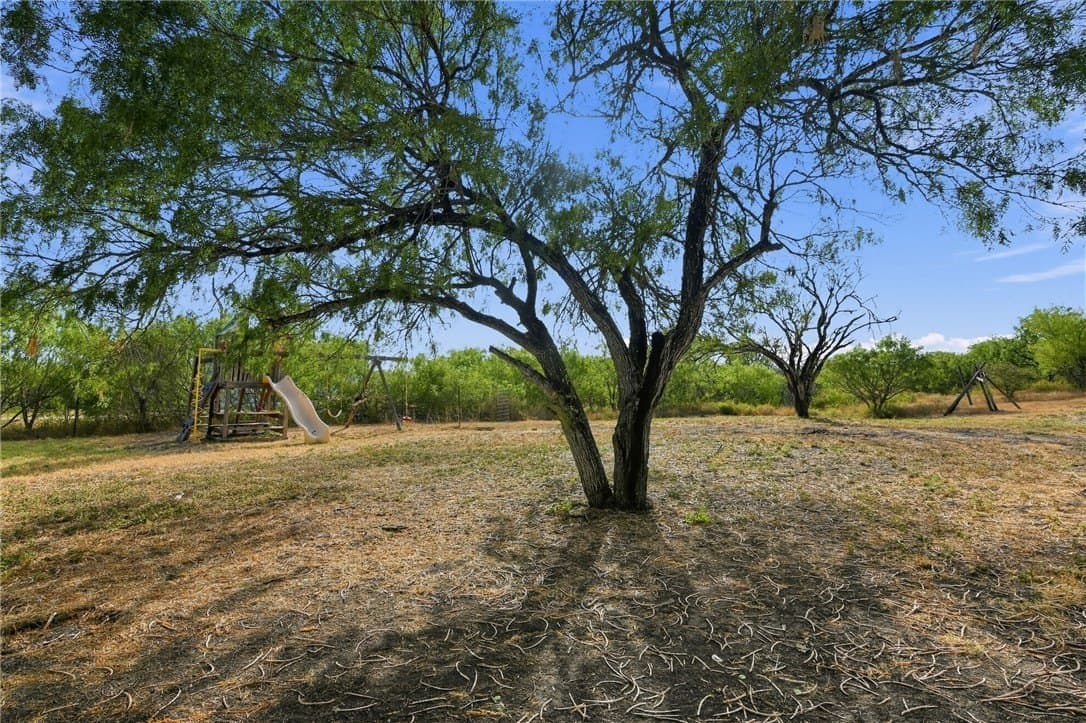 100,000 acres in Nueces County - photo 8